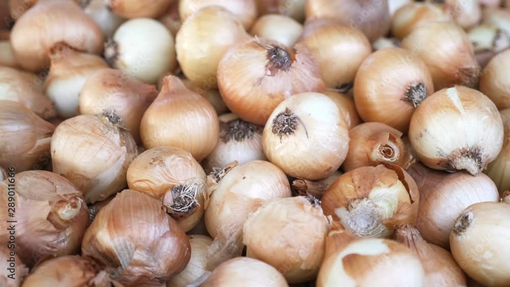 fresh ripe organic white onions at the market.food, seasoning, nature fresh ripe organic white onions at the market.food, seasoning, nature