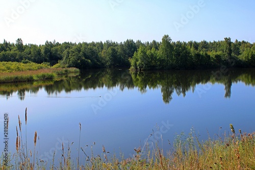 forest lake with grass and trees on the banks