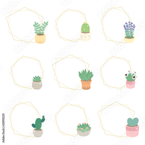 cute luxury flat style cactus and succulent with geometric golden frame