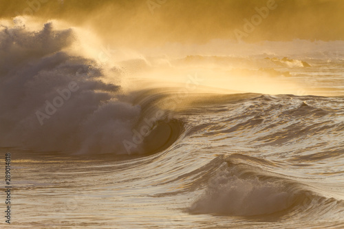 sunset scene of a crashing wave in hawaii