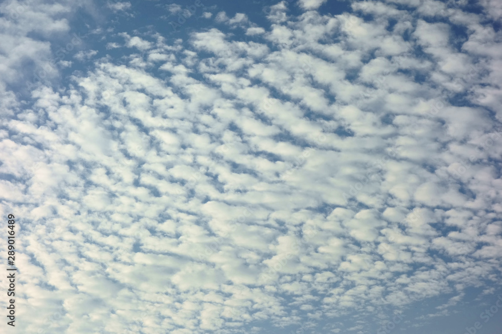 青い天空に広がる魅力的な雲海 青い天空に広がる魅力的な雲海