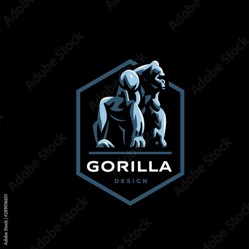 Gorilla. Big monkey.