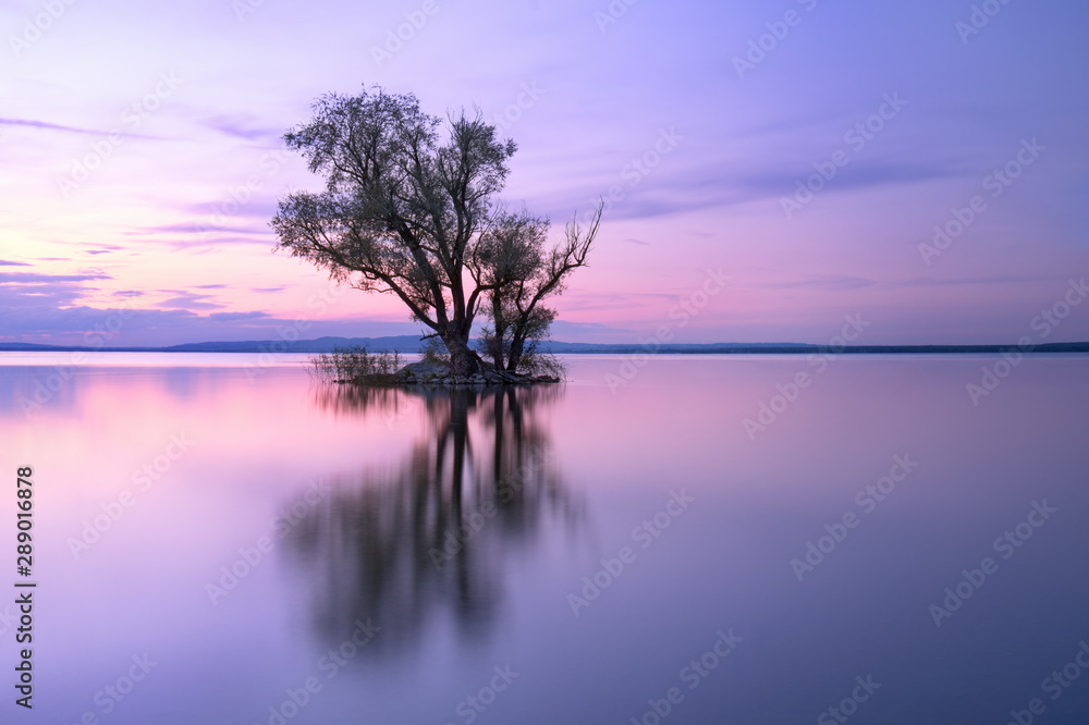 Baum auf Insel im See mit Spiegelung im Abendrot Baum auf Insel im See mit Spiegelung im Abendrot