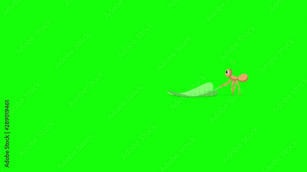 Ant carries a green leaf Ant carries a green leaf