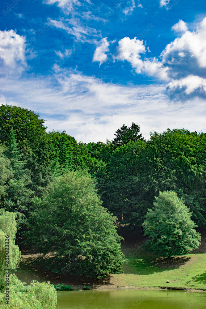 green trees in the park