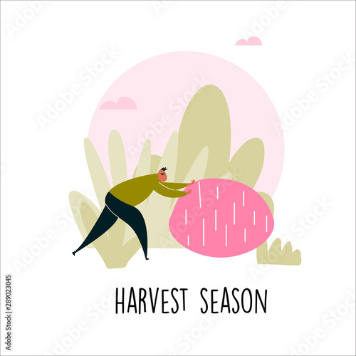 Vector illustration of man pushing a big potato. Harvest season