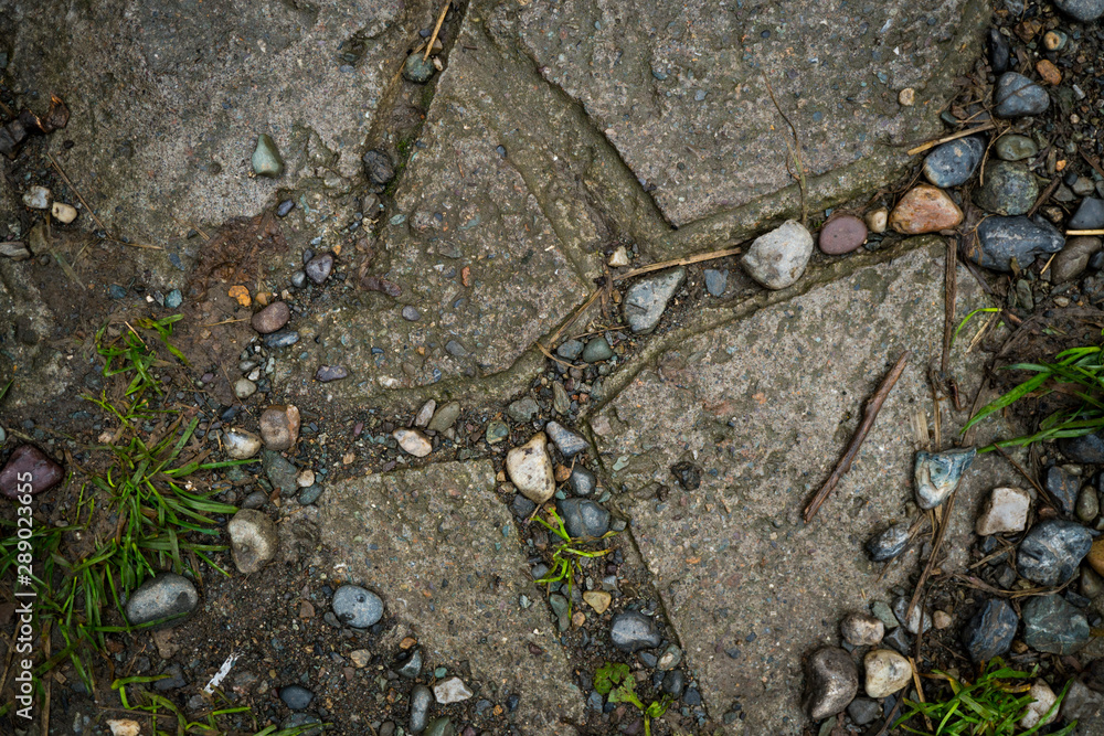 Fototapeta premium Texture of paving slabs overgrown with grass. Background image of a stratum stone