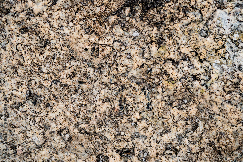 The texture of the stone overgrown with moss. Background image of a boulder The texture of the stone overgrown with moss. Background image of a boulder