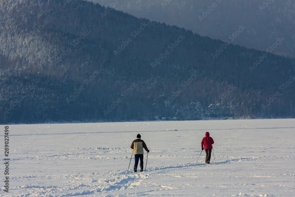 skiers ride on a mountain lake in winter. cystic white snow and wildlife. outdoor sports. hobby and sport.