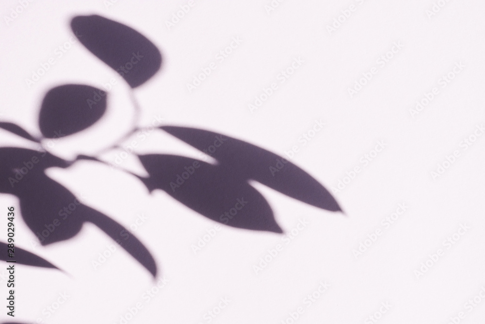 Naklejka premium Tree leaves shadow on wall background, Abstract Background Cement Wall Shadow Light Concept, shadow effects