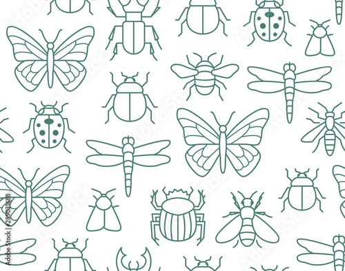 Insects seamless pattern with flat line icons. Background - butterfly, bug, dung beetle, scarab, bee, ladybug vector illustrations. Outline signs of field insect