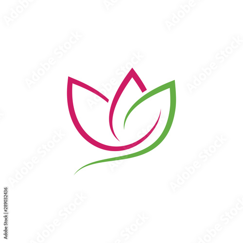 Lotus flowers logo