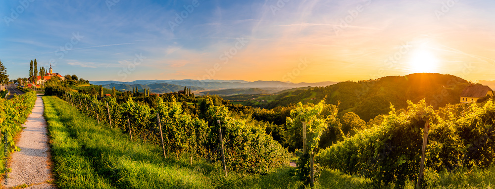 Landscapa panorama of vineyard on an Austrian countryside with a church in the background in Kitzeck im Sausal - obrazy, fototapety, plakaty 