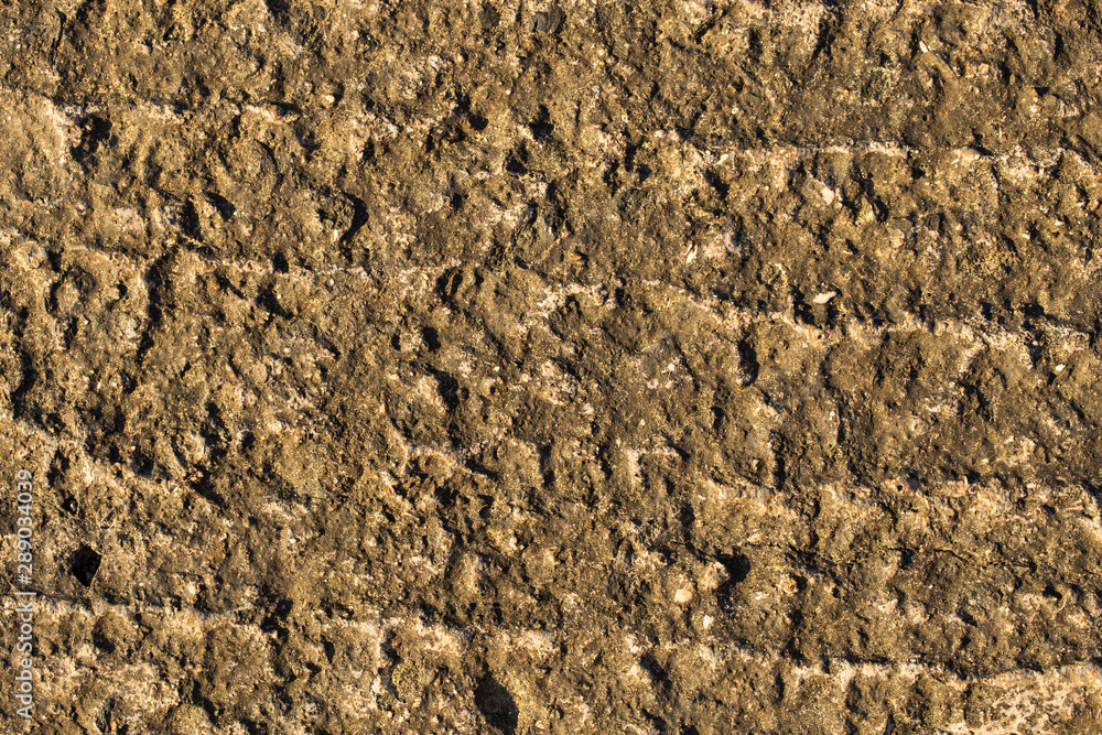 Wall of the house. Concrete coating. Cement slab. Wall of the house. Concrete coating. Cement slab.