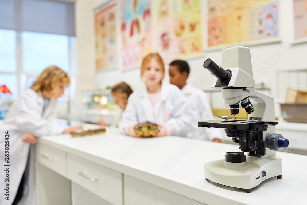 Mikroskop im Labor der Grundschule Mikroskop im Labor der Grundschule