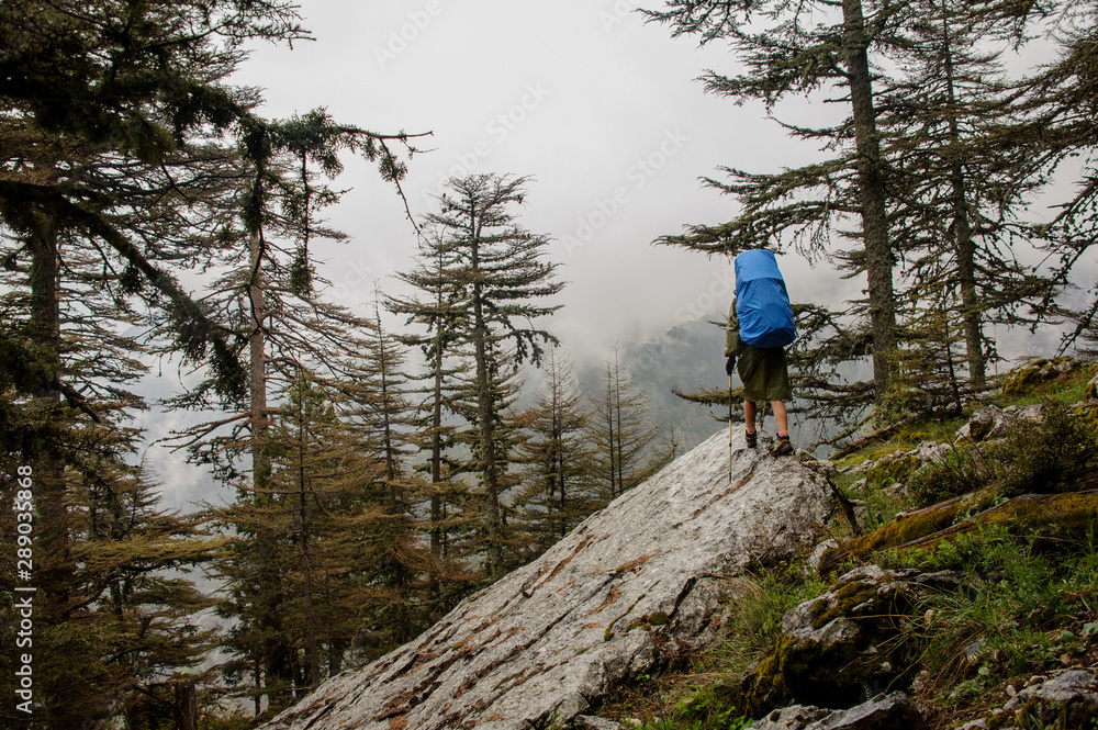 Girl in the raincoat walking on the rock with hiking backpack and sticks Girl in the raincoat walking on the rock with hiking backpack and sticks