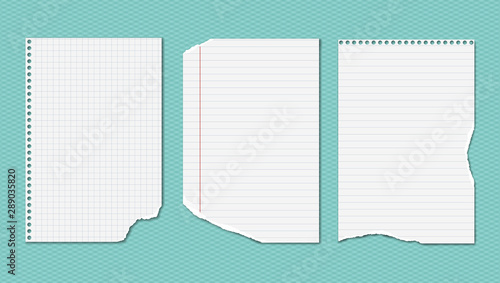 White ripped, lined and squared notebook, copybook paper sheets are on turquoise background. Vector illustration