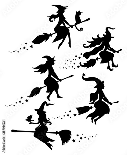 A set of black silhouettes of witches flying on a broomstick. A collection of silhouettes for Halloween. Mystical illustration. Vector outline of a witch.