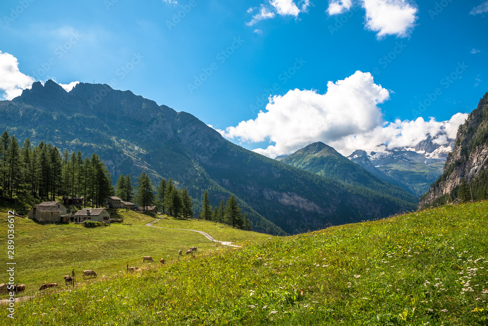 Alpjen, Valais, Suiza