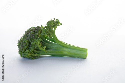  Broccoli on a white background