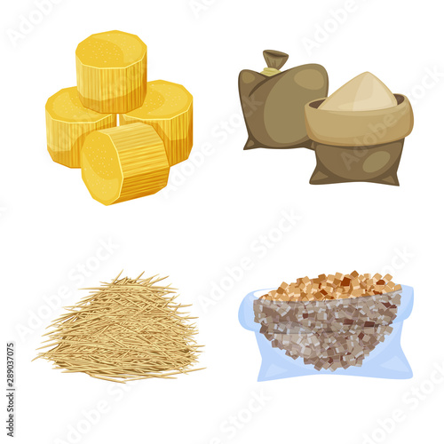 Vector design of sugarcane and cane sign. Collection of sugarcane and field stock symbol for web.