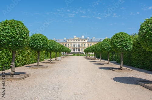 Tree alley in summer leads to beautiful palace