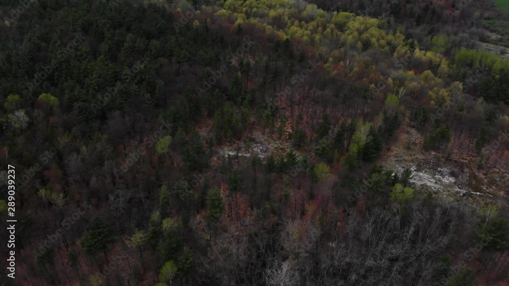 Aerial Drone Shot of Beautiful Forest Full of Green Trees Upward Pan Aerial Drone Shot of Beautiful Forest Full of Green Trees Upward Pan