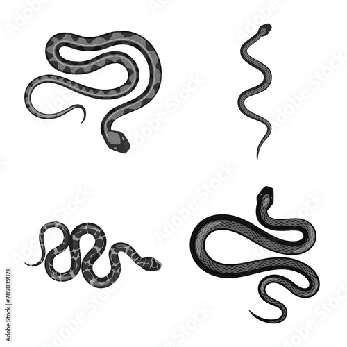 Isolated object of harm and bite logo. Collection of harm and reptile vector icon for stock.