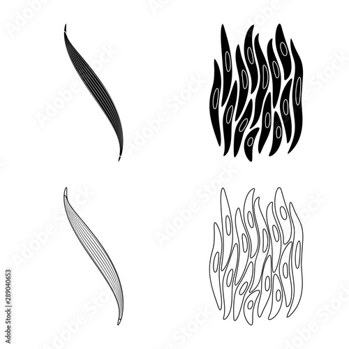 Isolated object of fiber and muscular icon. Set of fiber and body vector icon for stock.