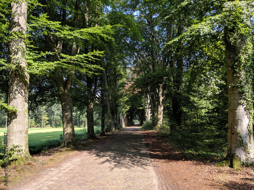 Road around castle Weldam in Overijssel