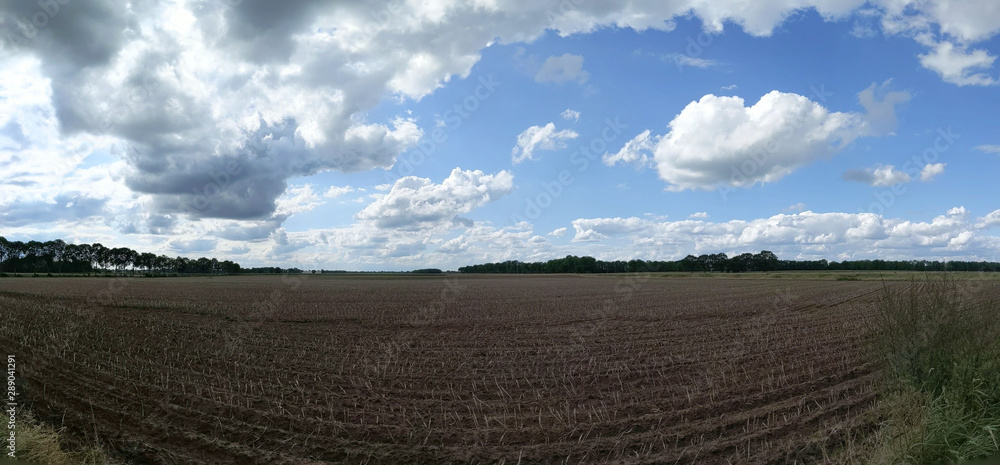 Panorama from farmland