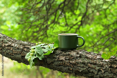 Green mug in the green forest, green nature, enjoyment