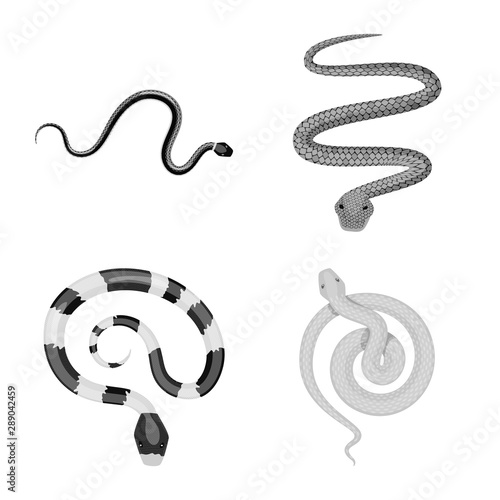 Vector illustration of harm and bite sign. Collection of harm and reptile stock vector illustration.