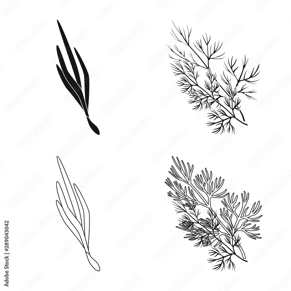 Isolated object of taste and product logo. Set of taste and cooking vector icon for stock. Isolated object of taste and product logo. Set of taste and cooking vector icon for stock.