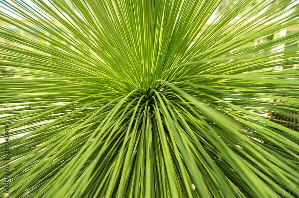 Green perspective Green perspective