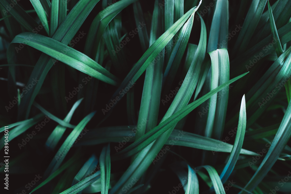 image to crop