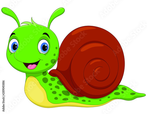 Vector illustration of cute snail cartoon isolated on white background