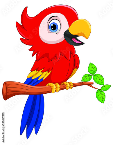 Vector illustration of Cute parrot cartoon isolated on white background