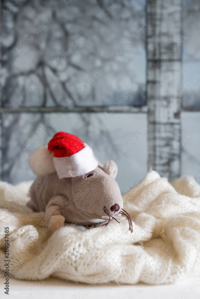 Obraz premium Christmas. 2020 symbol. Rat in a Santa hat on the windowsill at the window on a winter evening