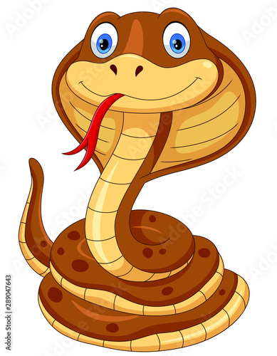 Cute cobra snake cartoon isolated on white background