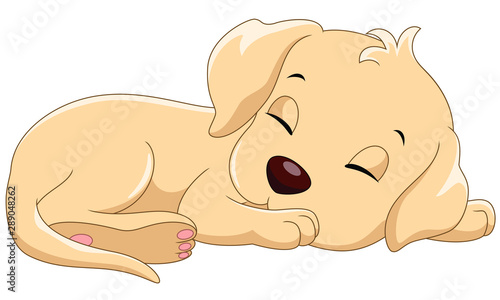 Vector illustrator of cute sleeping dog cartoon isolated on white background