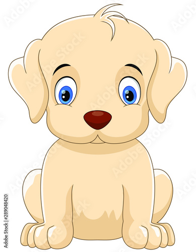 Vector illustrator of cute little dog cartoon isolated on white background