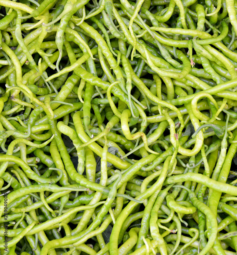 fresh and organic green peppers in market fresh and organic green peppers in market