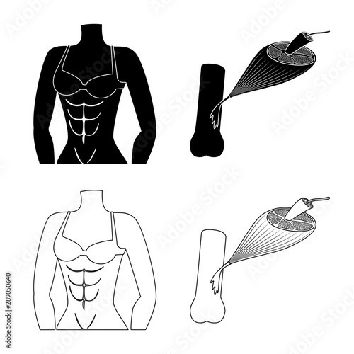 Vector design of fiber and muscular sign. Collection of fiber and body stock symbol for web.