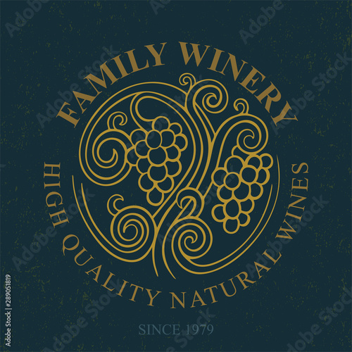Grape. Hand drawn grape and vine engraving style illustrations set. Bunch of grapes vector design element. Grape and vine logo and background. Wine theme grape and vine vintage style ornament. Part of