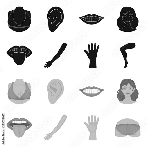 Vector illustration of body and part icon. Collection of body and anatomy stock symbol for web.