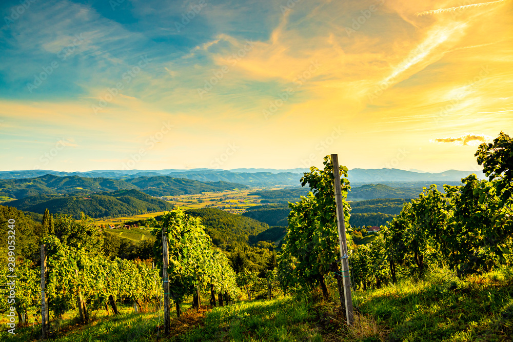 Colorfull landscape of sunset at vineyards in Austrian countryside in town Kitzeck im Sausal