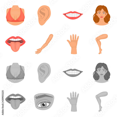 Isolated object of body and part symbol. Set of body and anatomy stock vector illustration.
