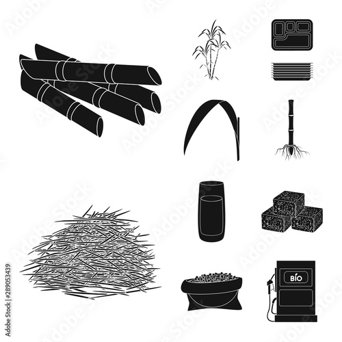 Vector design of sucrose and technology icon. Set of sucrose and cane vector icon for stock.