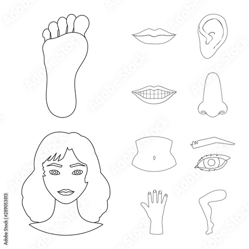 Vector design of body and part icon. Set of body and anatomy stock symbol for web.